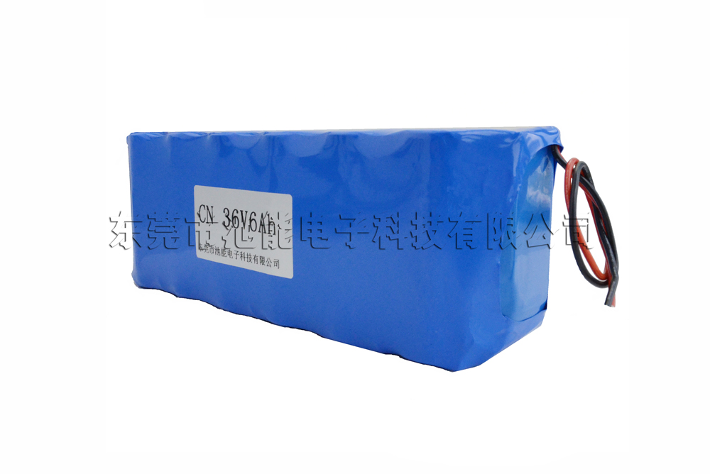 36V 6000mAh磷酸铁锂电池组